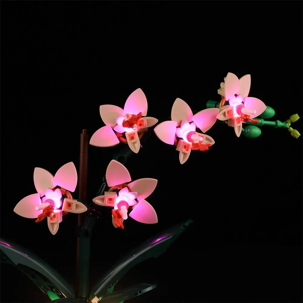 LEGO 10343 Mini Orchid - BRIKSMAX LIGHTS - Image 5